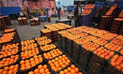 ذخیره‌سازی 700 تن سیب و پرتقال ایام نوروز در گیلان