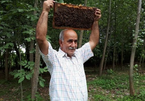 زنبورها این مرد گوراب زرمیخی را نیش نمیزنند زنبورها این مرد گوراب زرمیخی را نیش نمیزنند