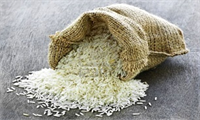 نیازی به واردات برنج خارجی نیست