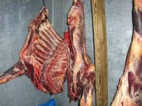 کشف و ضبط 220 کیلوگرم گوشت غیر بهداشتی در شهرستان صومعه سرا