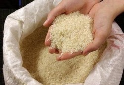 کشف تریاک از کیسه های برنج در رشت!