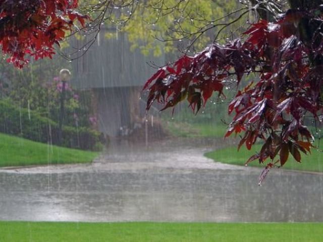 هوای گیلان تا پایان هفته بارانی است