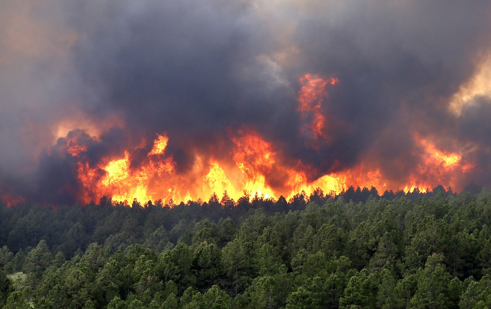 گرمای شدید هوا و افزایش خطر آتش سوزی در استان گیلان