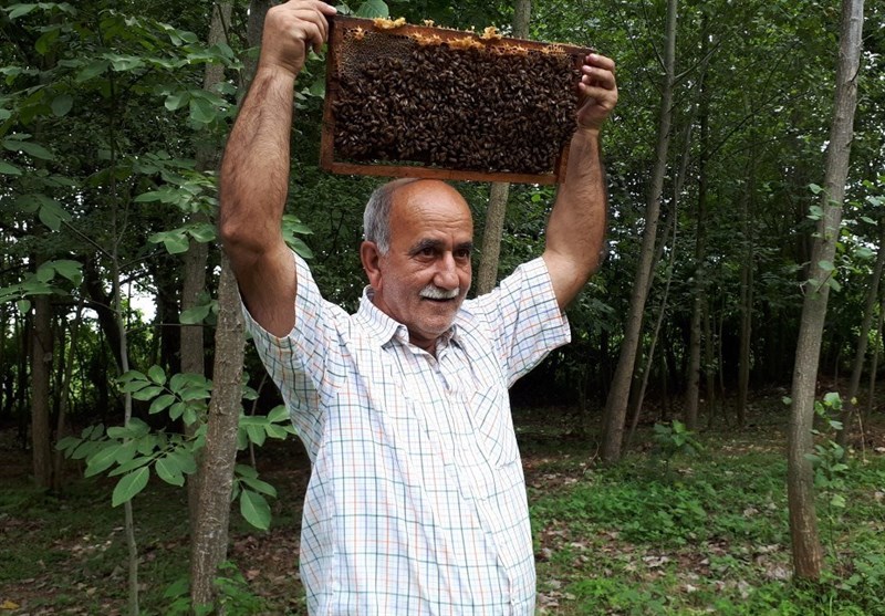 زنبورها این مرد گوراب زرمیخی را نیش نمی‌زنند