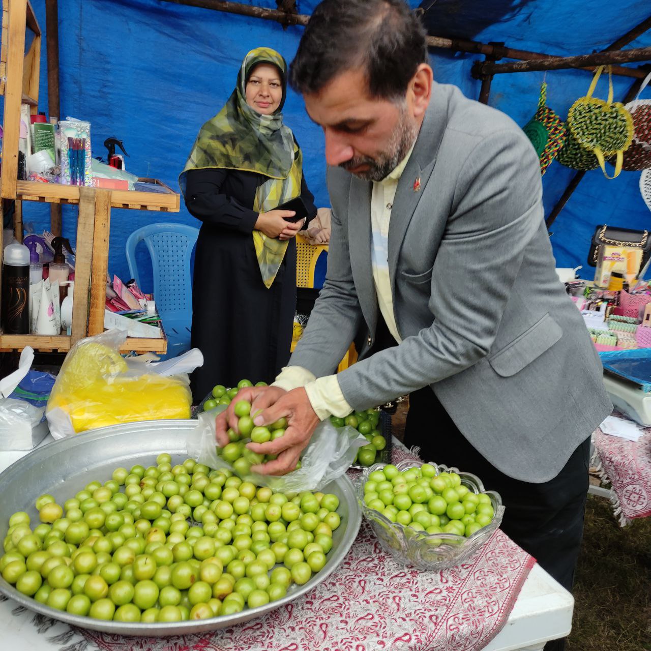 دومین جشنواره آلوچه در شهر گوراب زرمیخ برگزار شد