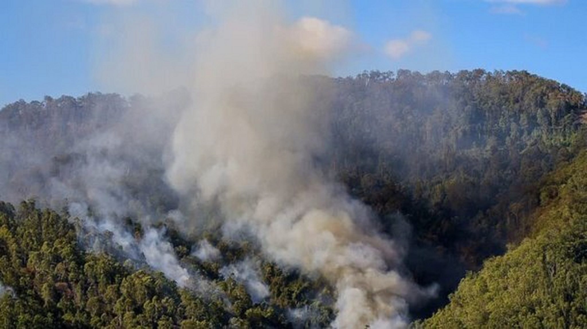 بیش از ۱۰۰ هکتار از جنگل‌های استان آتش گرفت که با کمک نیروهای امدادی خاموش شد.