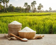 حمایت از شالیکاران با تنظیم بازار برنج تداوم می‌یابد
