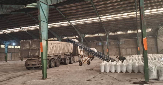 توزیع بیش از ۳۸۰۰ تن کود شیمیایی در صومعه‌سرا / گامی در جهت حمایت از کشاورزان گیلانی