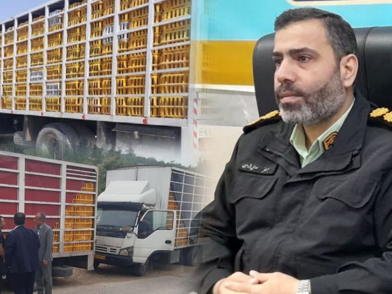 کشف حدود ۱۰ تن مرغ قاچاق در صومعهسرا کشف حدود ۱۰ تن مرغ قاچاق در صومعهسرا